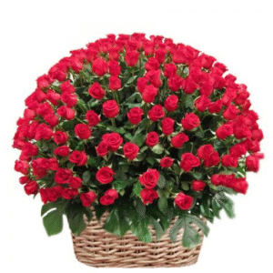 Hundred Roses Basket