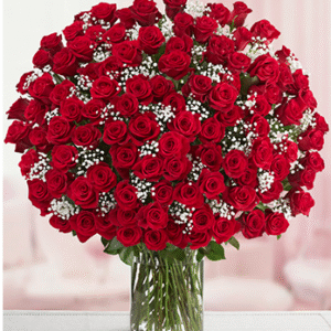 Hundred Roses Vase