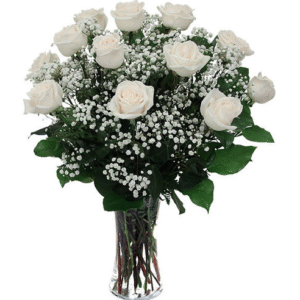 Dozen Roses in White