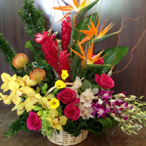 [a] exotic arrangement